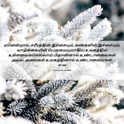 Picture 06 - 1 யோவான் 2:16 TAMIRV - ஏனென்றால், - Bible Verse Picture