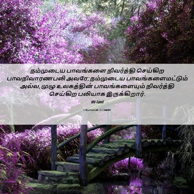 Picture 06 - 1 யோவான் 2:2 TAMIRV - நம்முடைய பாவங்களை - Bible Verse Picture