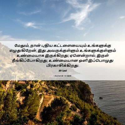 Picture 06 - 1 யோவான் 2:8 TAMIRV - மேலும், நான் புதிய - Bible Verse Picture