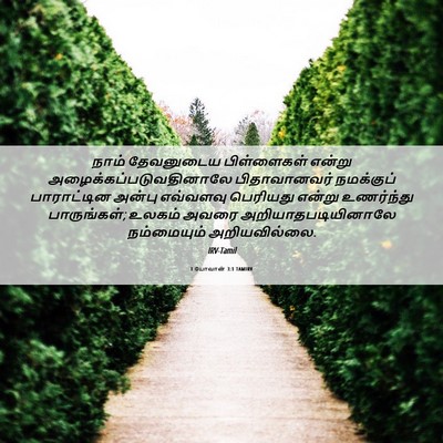Picture 06 - 1 யோவான் 3:1 TAMIRV - நாம் தேவனுடைய - Bible Verse Picture