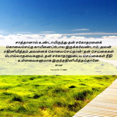 Picture 06 - 1 யோவான் 3:12 TAMIRV - சாத்தானால் - Bible Verse Picture