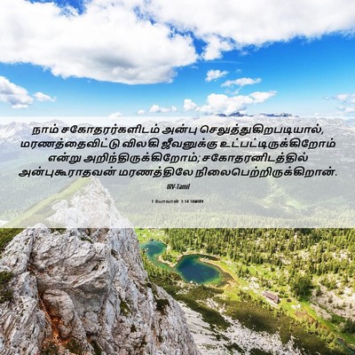Picture 06 - 1 யோவான் 3:14 TAMIRV - நாம் - Bible Verse Picture