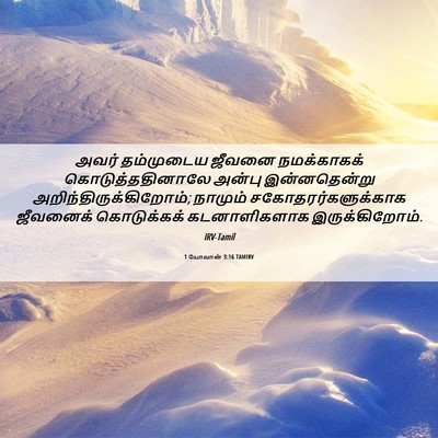 Picture 06 - 1 யோவான் 3:16 TAMIRV - அவர் தம்முடைய - Bible Verse Picture