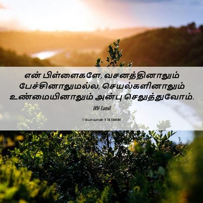 Picture 06 - 1 யோவான் 3:18 TAMIRV - என் பிள்ளைகளே, - Bible Verse Picture