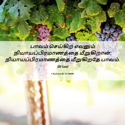 Picture 06 - 1 யோவான் 3:4 TAMIRV - பாவம் செய்கிற - Bible Verse Picture