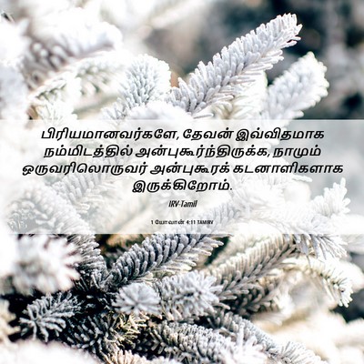 Picture 06 - 1 யோவான் 4:11 TAMIRV - பிரியமானவர்களே, - Bible Verse Picture