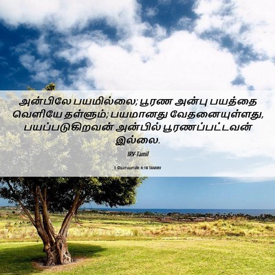 Picture 06 - 1 யோவான் 4:18 TAMIRV - அன்பிலே பயமில்லை; - Bible Verse Picture