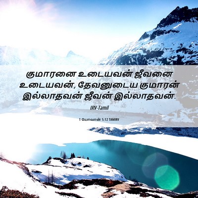 Picture 06 - 1 யோவான் 5:12 TAMIRV - குமாரனை உடையவன் - Bible Verse Picture