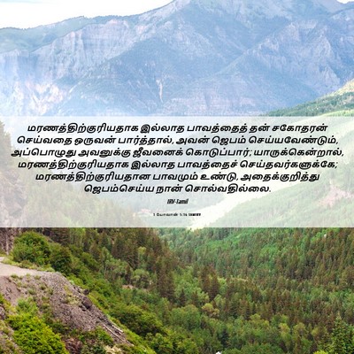 Picture 06 - 1 யோவான் 5:16 TAMIRV -  - Bible Verse Picture