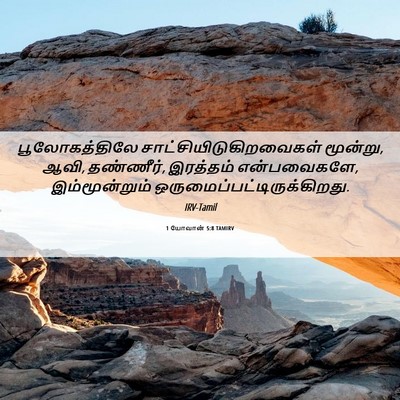 Picture 06 - 1 யோவான் 5:8 TAMIRV - பூலோகத்திலே - Bible Verse Picture