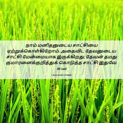 Picture 06 - 1 யோவான் 5:9 TAMIRV - நாம் மனிதனுடைய - Bible Verse Picture