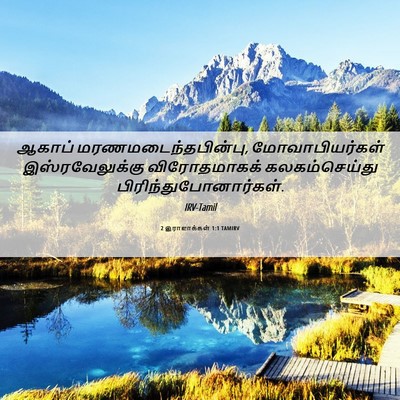 Picture 06 - 2 இராஜாக்கள் 1:1 TAMIRV - ஆகாப் - Bible Verse Picture