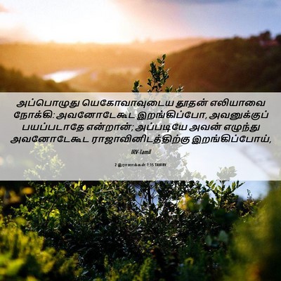 Picture 06 - 2 இராஜாக்கள் 1:15 TAMIRV - அப்பொழுது - Bible Verse Picture