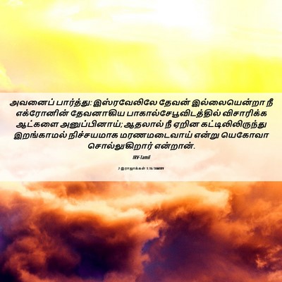Picture 06 - 2 இராஜாக்கள் 1:16 TAMIRV - அவனைப் பார்த்து: - Bible Verse Picture