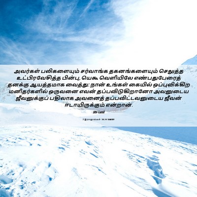 Picture 06 - 2 இராஜாக்கள் 10:24 TAMIRV - அவர்கள் - Bible Verse Picture