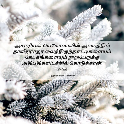 Picture 06 - 2 இராஜாக்கள் 11:10 TAMIRV - ஆசாரியன் - Bible Verse Picture