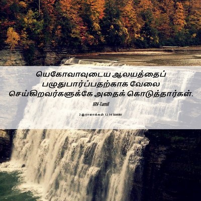 Picture 06 - 2 இராஜாக்கள் 12:14 TAMIRV - யெகோவாவுடைய - Bible Verse Picture