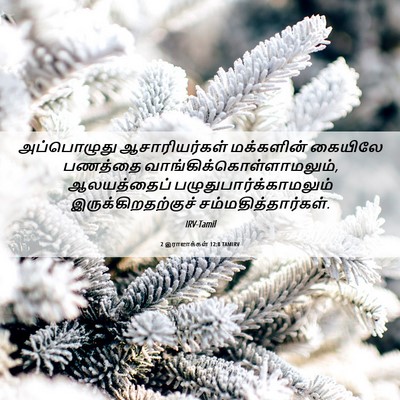 Picture 06 - 2 இராஜாக்கள் 12:8 TAMIRV - அப்பொழுது - Bible Verse Picture