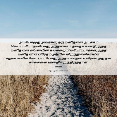 Picture 06 - 2 இராஜாக்கள் 13:21 TAMIRV - அப்பொழுது - Bible Verse Picture