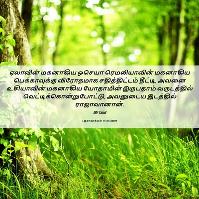 Picture 06 - 2 இராஜாக்கள் 15:30 TAMIRV - ஏலாவின் மகனாகிய - Bible Verse Picture