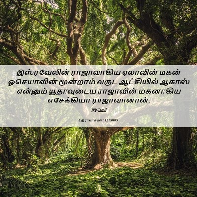 Picture 06 - 2 இராஜாக்கள் 18:1 TAMIRV - இஸ்ரவேலின் - Bible Verse Picture