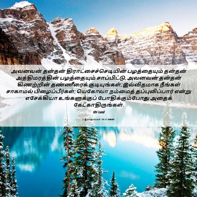 Picture 06 - 2 இராஜாக்கள் 18:32 TAMIRV - அவனவன் தன்தன் - Bible Verse Picture