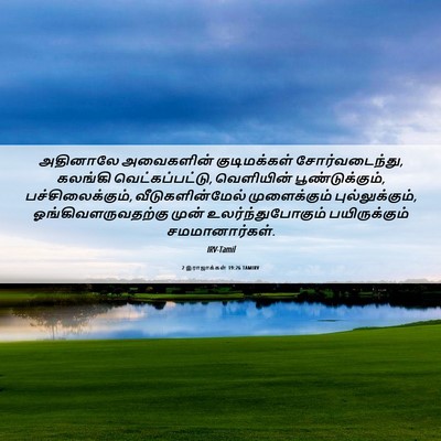 Picture 06 - 2 இராஜாக்கள் 19:26 TAMIRV - அதினாலே அவைகளின் - Bible Verse Picture