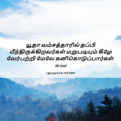 Picture 06 - 2 இராஜாக்கள் 19:30 TAMIRV - யூதா வம்சத்தாரில் - Bible Verse Picture