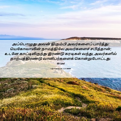 Picture 06 - 2 இராஜாக்கள் 2:24 TAMIRV - அப்பொழுது அவன் - Bible Verse Picture