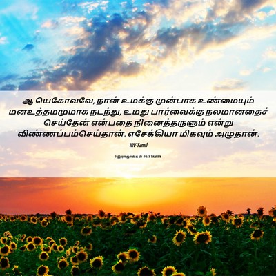 Picture 06 - 2 இராஜாக்கள் 20:3 TAMIRV - ஆ யெகோவவே, நான் - Bible Verse Picture