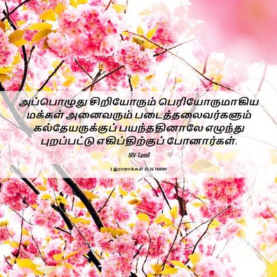 Picture 06 - 2 இராஜாக்கள் 25:26 TAMIRV - அப்பொழுது - Bible Verse Picture