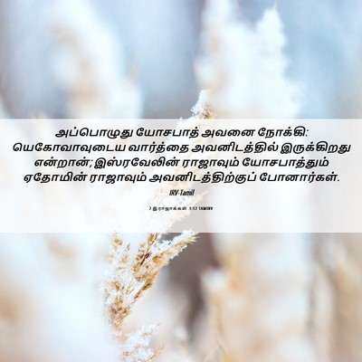 Picture 06 - 2 இராஜாக்கள் 3:12 TAMIRV - அப்பொழுது யோசபாத் - Bible Verse Picture