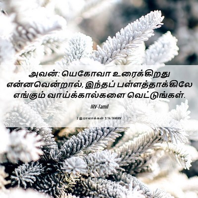 Picture 06 - 2 இராஜாக்கள் 3:16 TAMIRV - அவன்: யெகோவா - Bible Verse Picture