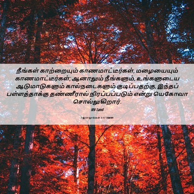 Picture 06 - 2 இராஜாக்கள் 3:17 TAMIRV - நீங்கள் - Bible Verse Picture