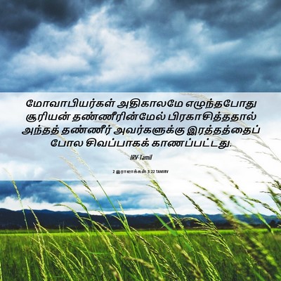Picture 06 - 2 இராஜாக்கள் 3:22 TAMIRV - மோவாபியர்கள் - Bible Verse Picture