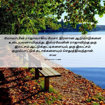 Picture 06 - 2 இராஜாக்கள் 3:4 TAMIRV - மோவாபின் - Bible Verse Picture