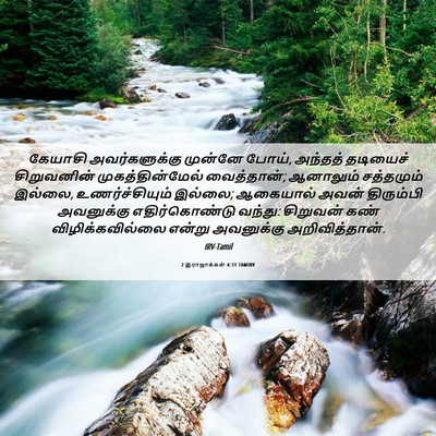 Picture 06 - 2 இராஜாக்கள் 4:31 TAMIRV - கேயாசி - Bible Verse Picture