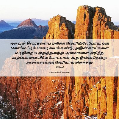 Picture 06 - 2 இராஜாக்கள் 4:39 TAMIRV - ஒருவன் கீரைகளைப் - Bible Verse Picture