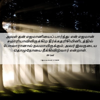 Picture 06 - 2 இராஜாக்கள் 5:3 TAMIRV - அவள் தன் - Bible Verse Picture