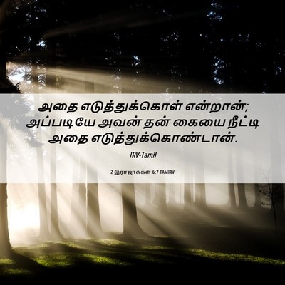 Picture 06 - 2 இராஜாக்கள் 6:7 TAMIRV - அதை எடுத்துக்கொள் - Bible Verse Picture