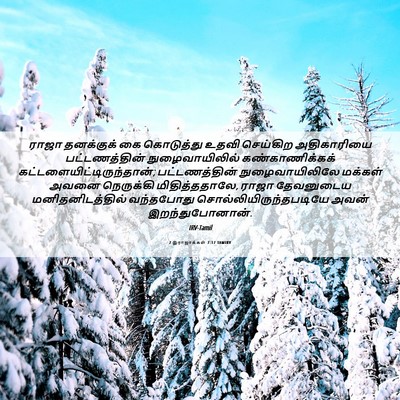 Picture 06 - 2 இராஜாக்கள் 7:17 TAMIRV - ராஜா தனக்குக் கை - Bible Verse Picture