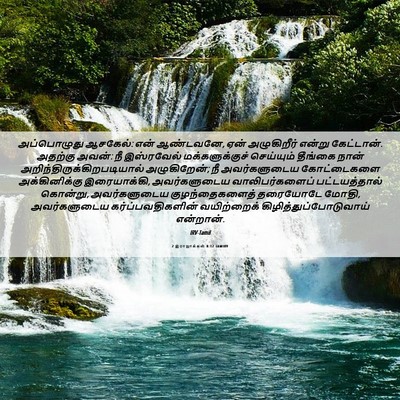 Picture 06 - 2 இராஜாக்கள் 8:12 TAMIRV - அப்பொழுது ஆசகேல்: - Bible Verse Picture