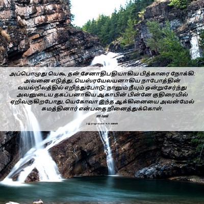 Picture 06 - 2 இராஜாக்கள் 9:25 TAMIRV - அப்பொழுது யெகூ, - Bible Verse Picture