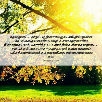 Picture 06 - 2 கொரிந்தியர் 1:1 TAMIRV - தேவனுடைய - Bible Verse Picture