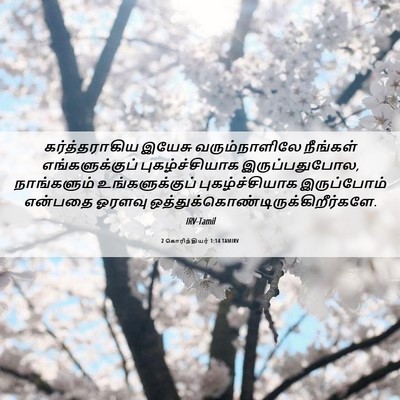 Picture 06 - 2 கொரிந்தியர் 1:14 TAMIRV - கர்த்தராகிய இயேசு - Bible Verse Picture