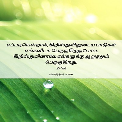 Picture 06 - 2 கொரிந்தியர் 1:5 TAMIRV - எப்படியென்றால், - Bible Verse Picture