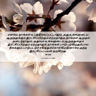 Picture 06 - 2 கொரிந்தியர் 1:6 TAMIRV - எனவே, நாங்கள் - Bible Verse Picture