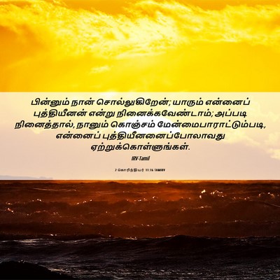 Picture 06 - 2 கொரிந்தியர் 11:16 TAMIRV - பின்னும் நான் - Bible Verse Picture