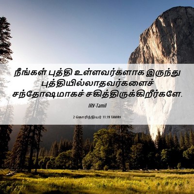 Picture 06 - 2 கொரிந்தியர் 11:19 TAMIRV - நீங்கள் புத்தி - Bible Verse Picture