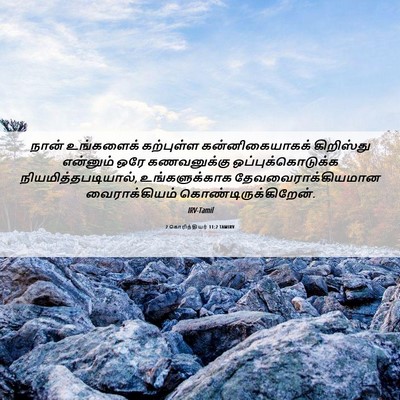 Picture 06 - 2 கொரிந்தியர் 11:2 TAMIRV - நான் உங்களைக் - Bible Verse Picture